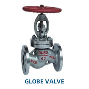 Globe Valve