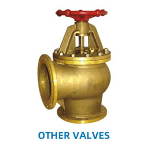 Other Valves