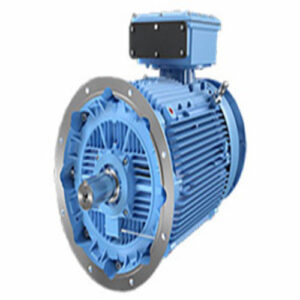 Marine Electric Motors